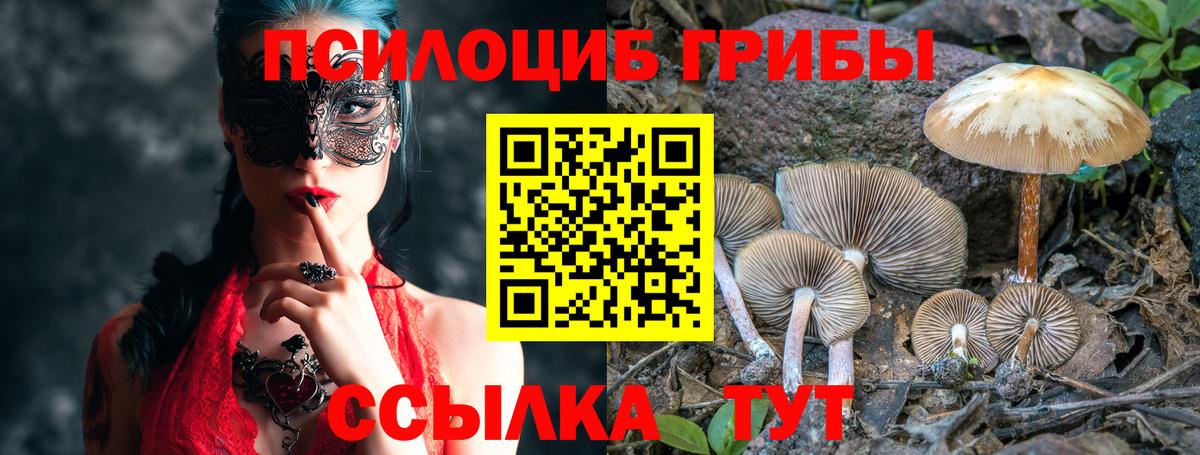Галлюциногенные грибы MAGIC MUSHROOMS  Вход с VPN  Псилоцибиновые грибы Cubensis  Ессентуки 